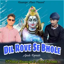 Dil Rove Se Bhole